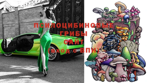 Альфа ПВП Баксан