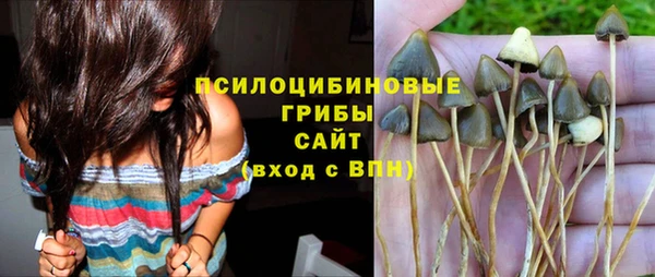 амф Армянск