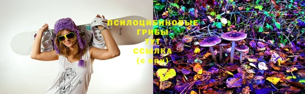 Альфа ПВП Баксан