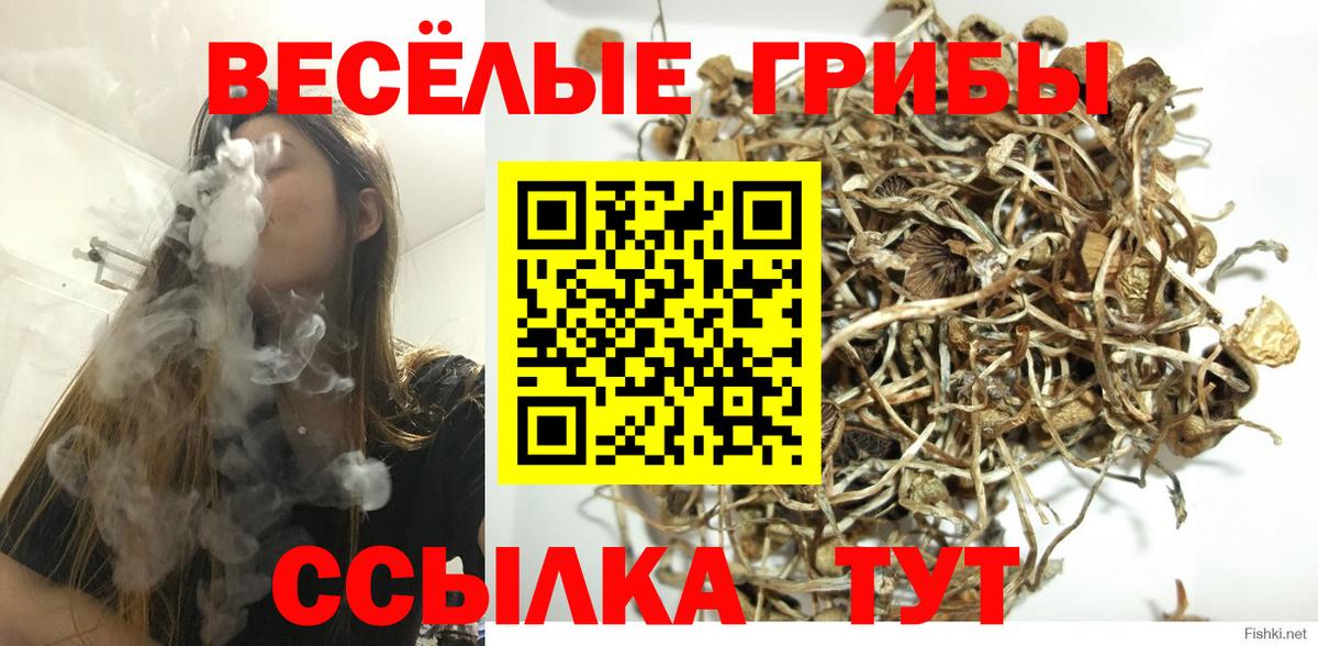 Междуреченск  Псилоцибиновые грибы прущие грибы  купить закладку  Вход с VPN 